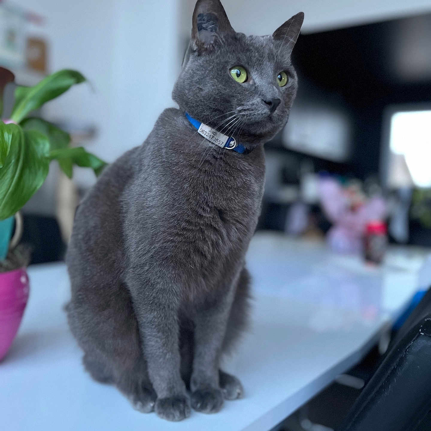Jack