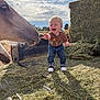 child, toddler, horse, animal, hay, farm, outdoor, sky, clouds, sunlight, joyful, reaching, grass, nature, blue_sky, smiling, clothing, jeans, shoes, playful