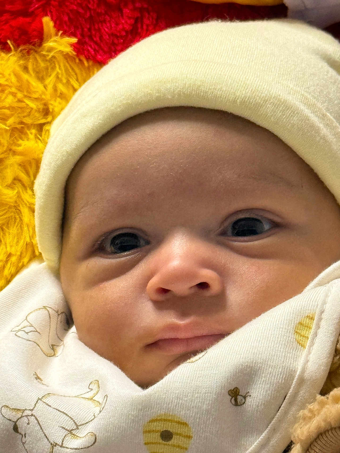 Andre is registered to the contest to win money with this photo: baby, infant, face, hat, blanket, clothing, cute, close_up, expression, newborn, soft, warm, cozy, portrait, wrapped, eyes, skin, headwear, child, indoors