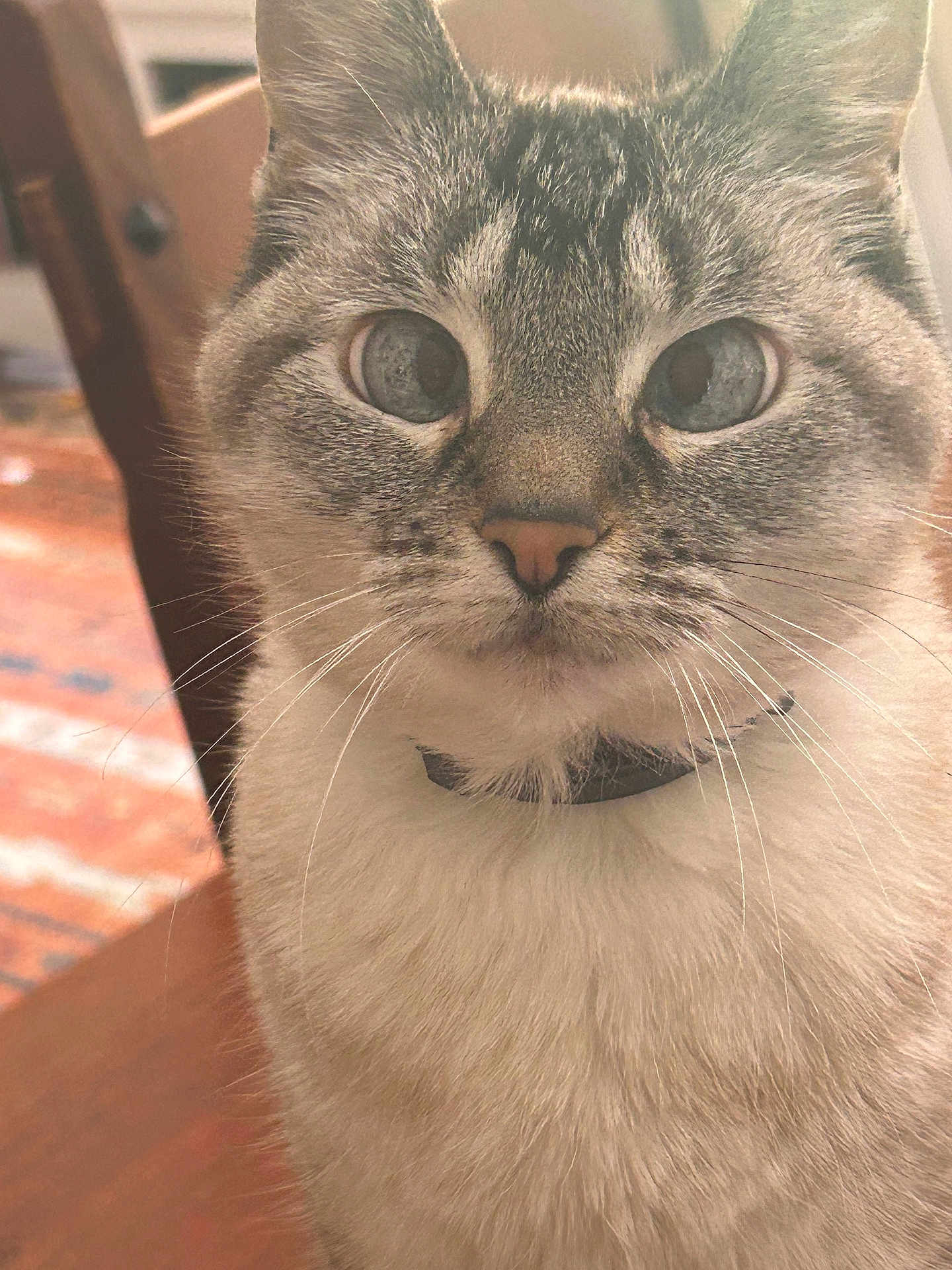 Chloe