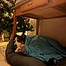 dog, blanket, bed, sleeping, cozy, indoor, christmas_tree, decorations, wooden_table, towels, floor_tiles, quiet, peaceful, pet, resting, holiday, warm, fur, paw, home