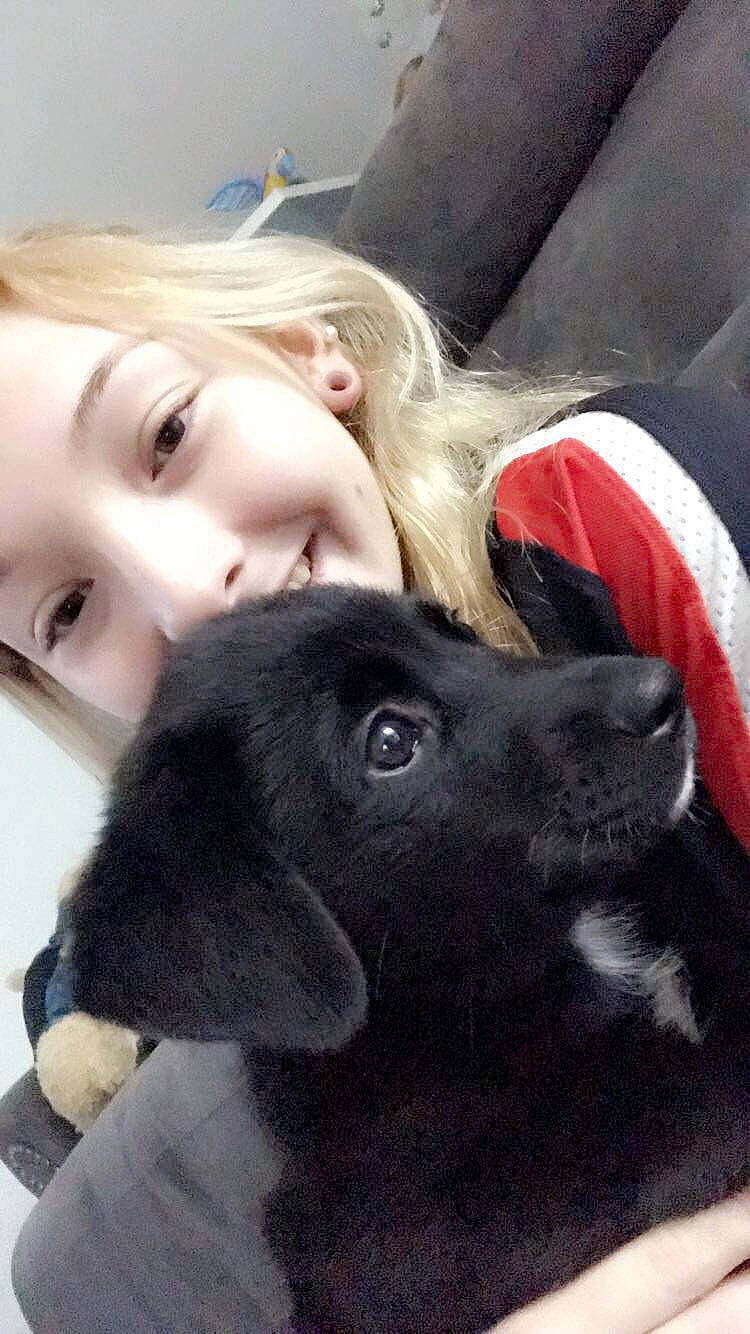 Titan is registered to the contest to win money with this photo: carnivore, comfort, companion_dog, dog, dog_breed, ear, eye, eyelash, fawn, gesture, happy, head, mammal, nose, organ, selfie, skin, vertebrate, whiskers, working_animal