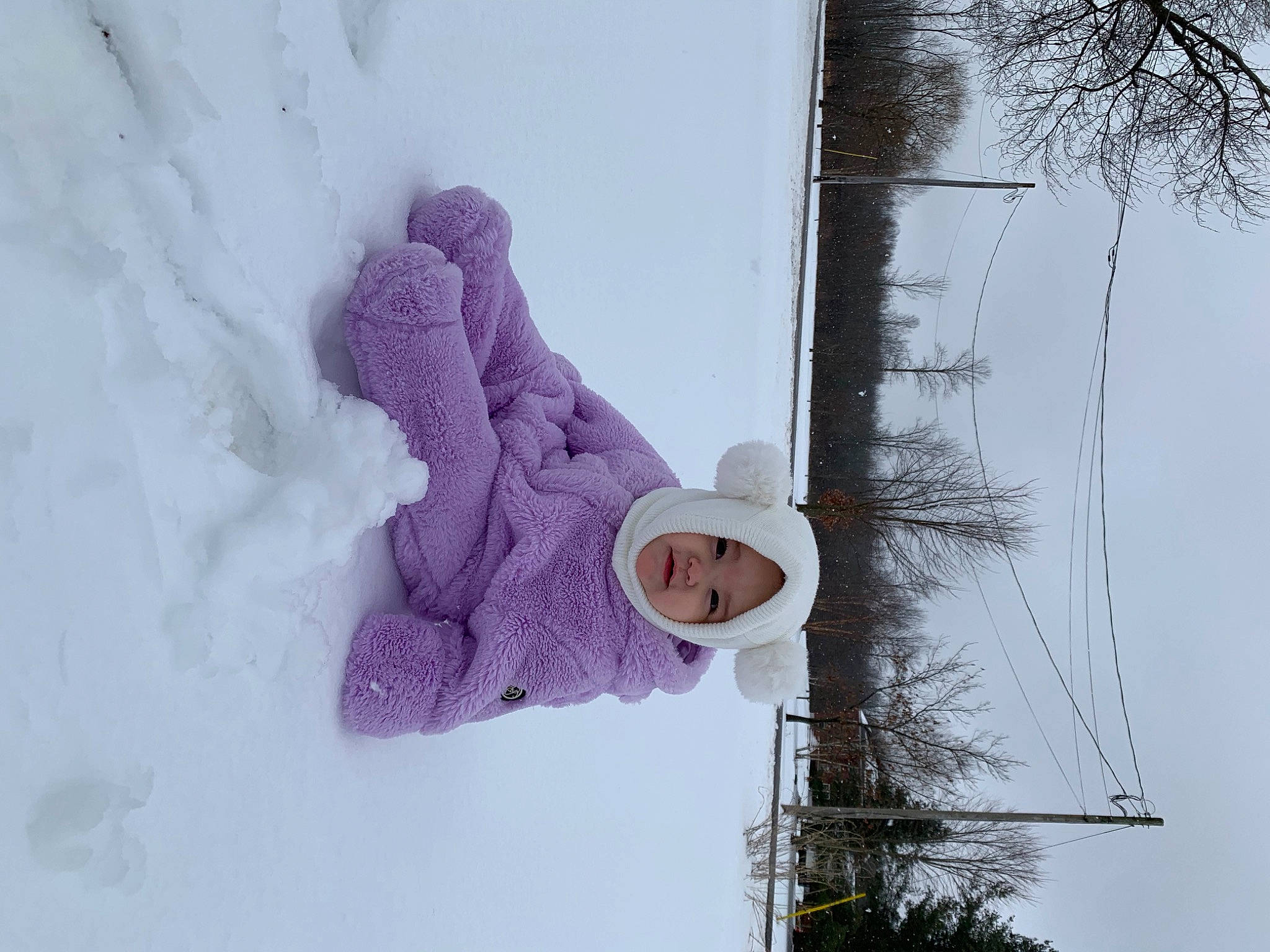 Avah is registered to the contest to win money with this photo: art, electricity, freezing, fun, fur, glove, headwear, magenta, overhead_power_line, person, plant, pole, purple, sculpture, sky, snow, street_light, tree, twig, visual_arts