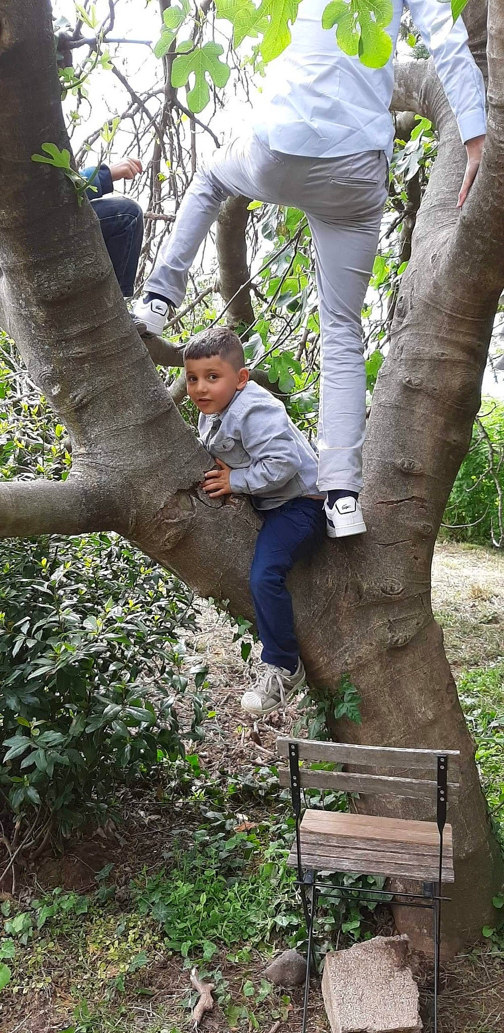 Sofiane participe au concours pour gagner de l'argent avec cette photo : biome, botany, branch, gesture, grass, human_body, interaction, leaf, leg, leisure, nature, people_in_nature, person, plant, sneakers, toddler, tree, trunk, twig, vertebrate