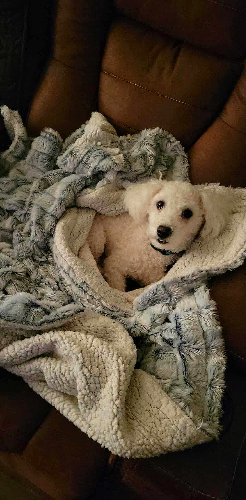 Casper