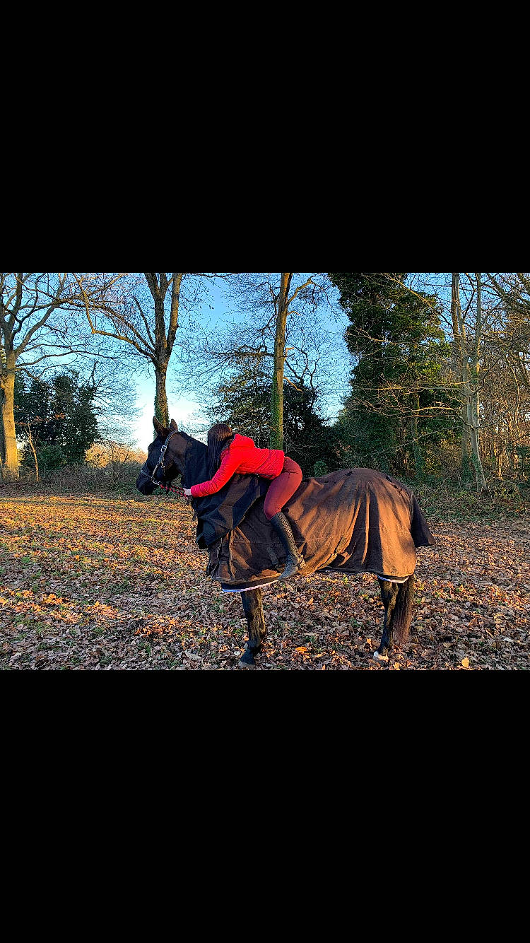 Uriella a rejoint le concours — aidez-le/la à gagner de superbes lots ! forest, grass, grassland, horse, outerwear, pasture, photography, plant, sky, stock_photography, tree, wood, woody_plant