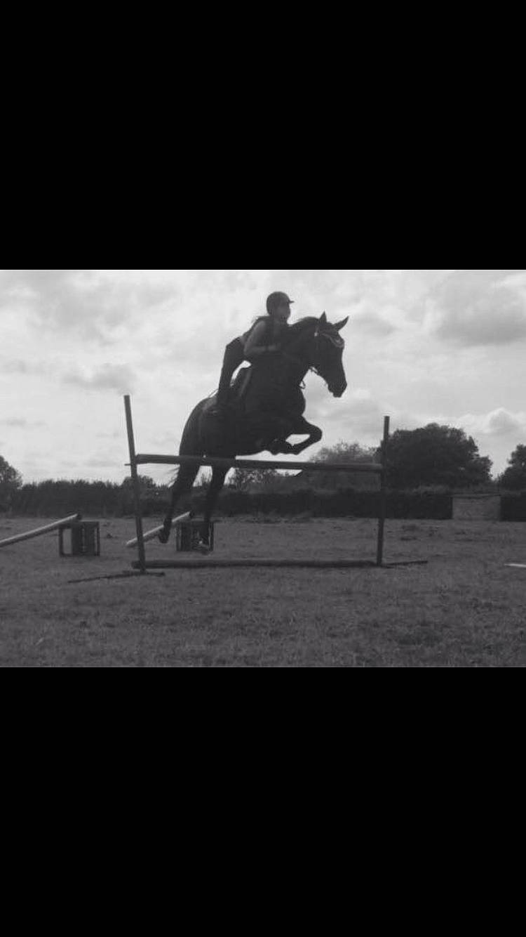 Uriella a rejoint le concours — aidez-le/la à gagner de superbes lots ! black_and_white, dressage, english_riding, equestrianism, eventing, horse, horse_trainer, individual_sports, jumping, mane, monochrome, monochrome_photography, photography, recreation, rein, show_jumping, sky, stallion, stock_photography