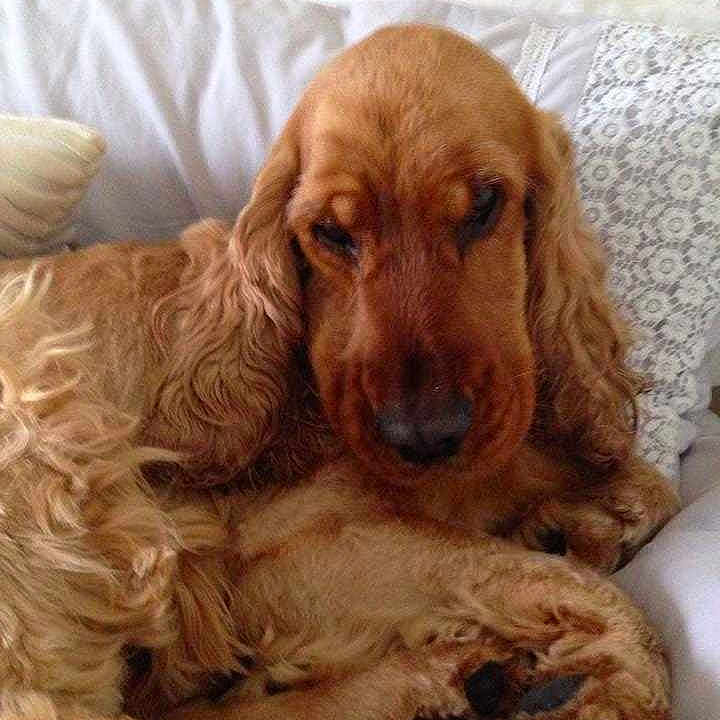 Dylan joined the competition — help win amazing prizes!