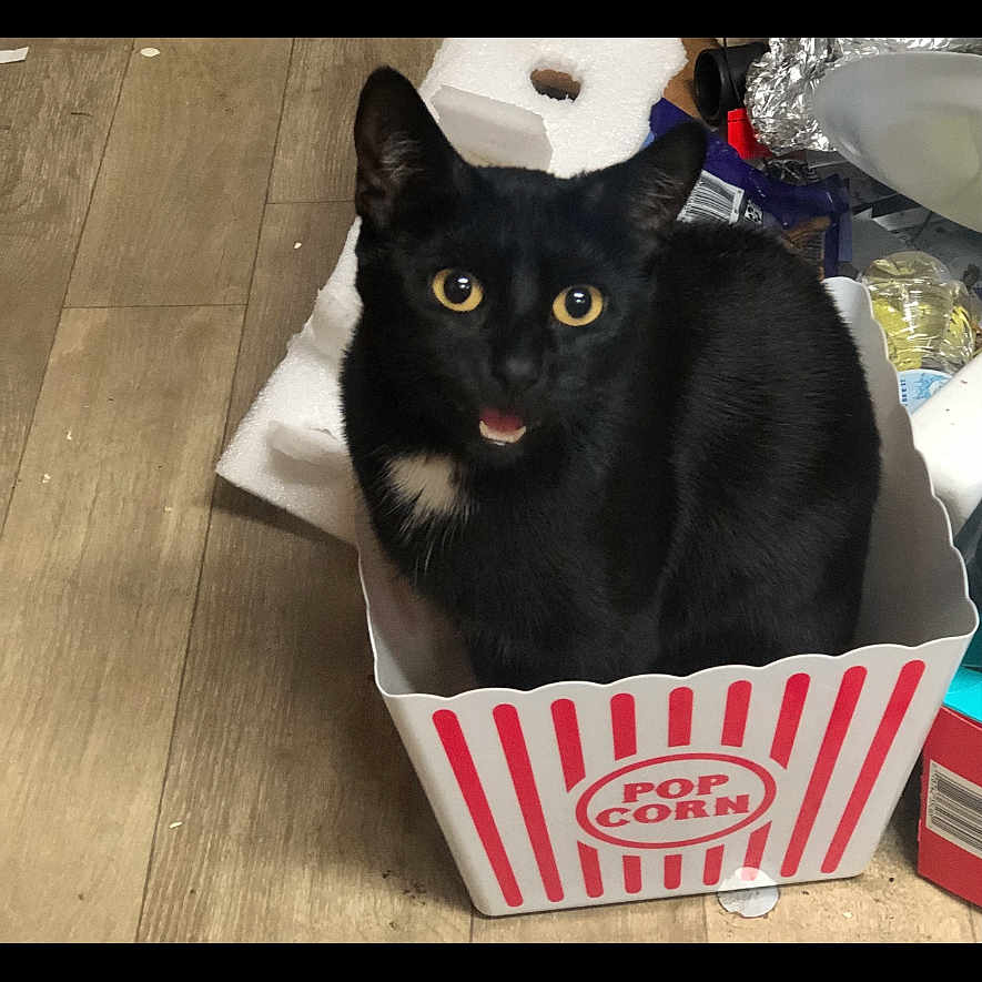 Binx