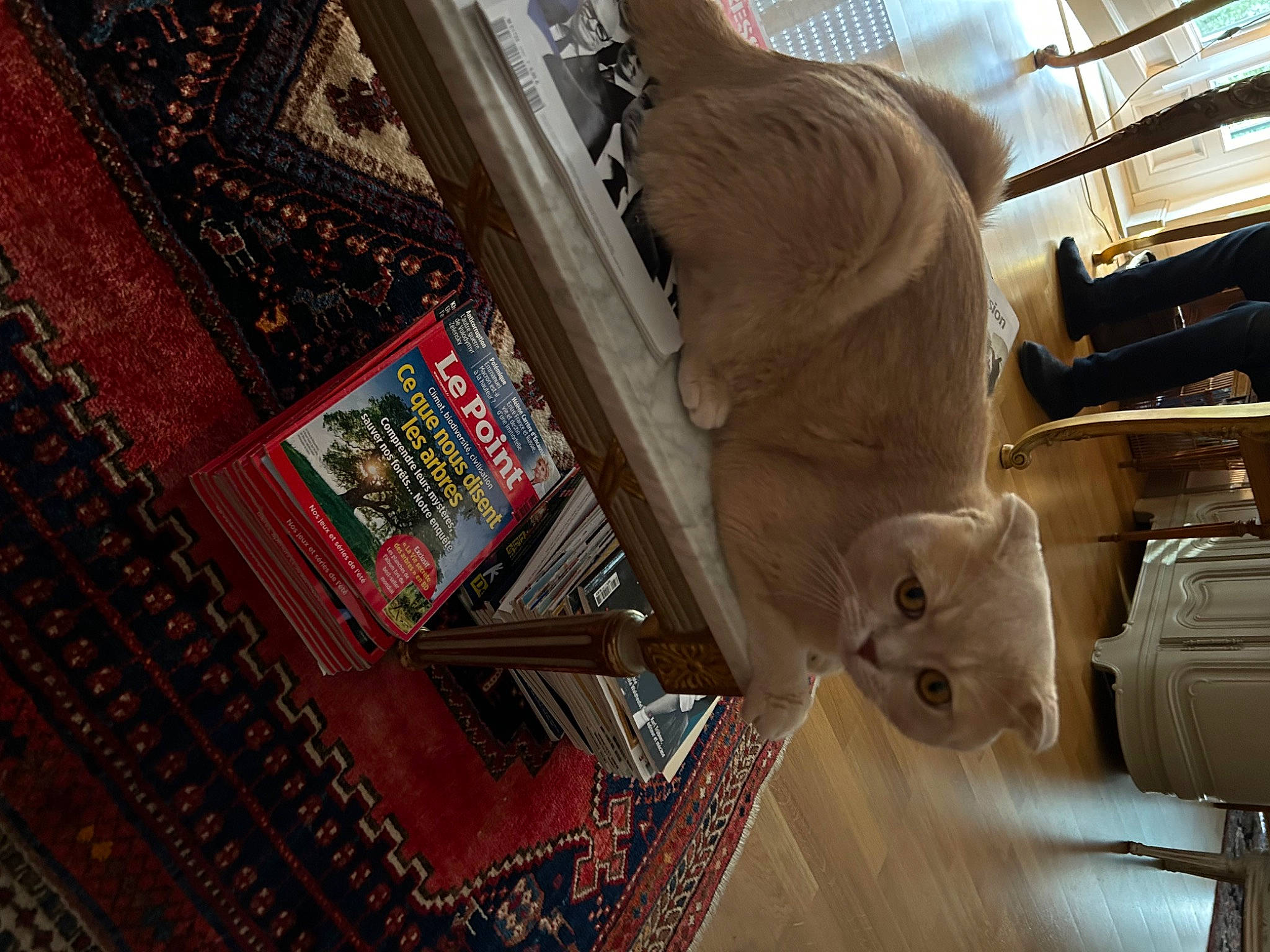 Moka participe au concours pour gagner de l'argent avec cette photo : art, building, carving, ceiling, column, daylighting, flooring, glass, machine, metal, room, sculpture, snout, visual_arts, wood