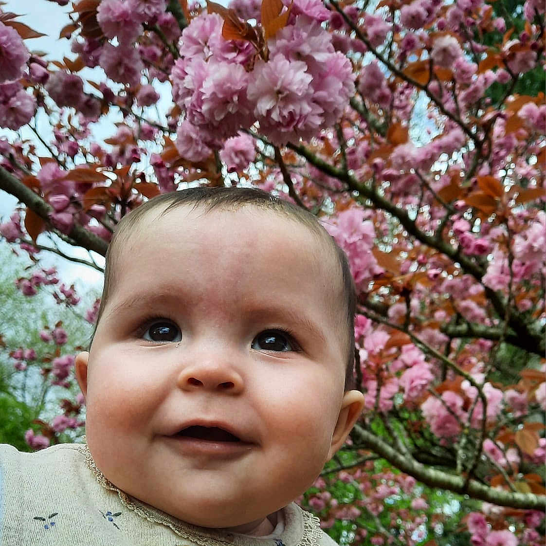 Violeta participe au concours pour gagner de l'argent avec cette photo : baby, face, flower, grass, grove, head, land, leaf, nature, outdoors, park, person, petal, photography, plant, portrait, pottedplant, purple, tree, vegetation