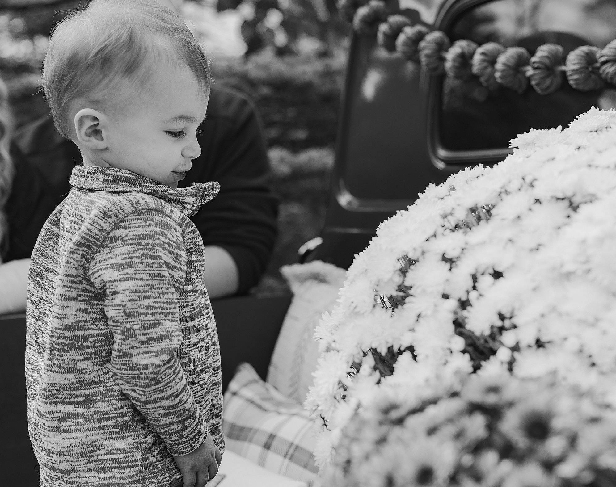Chase joined the competition — help win amazing prizes! beauty, black_and_white, child, event, flash_photography, flower, gesture, grass, happy, interaction, iris, monochrome, monochrome_photography, people_in_nature, person, photograph, plant, smile, style, toddler
