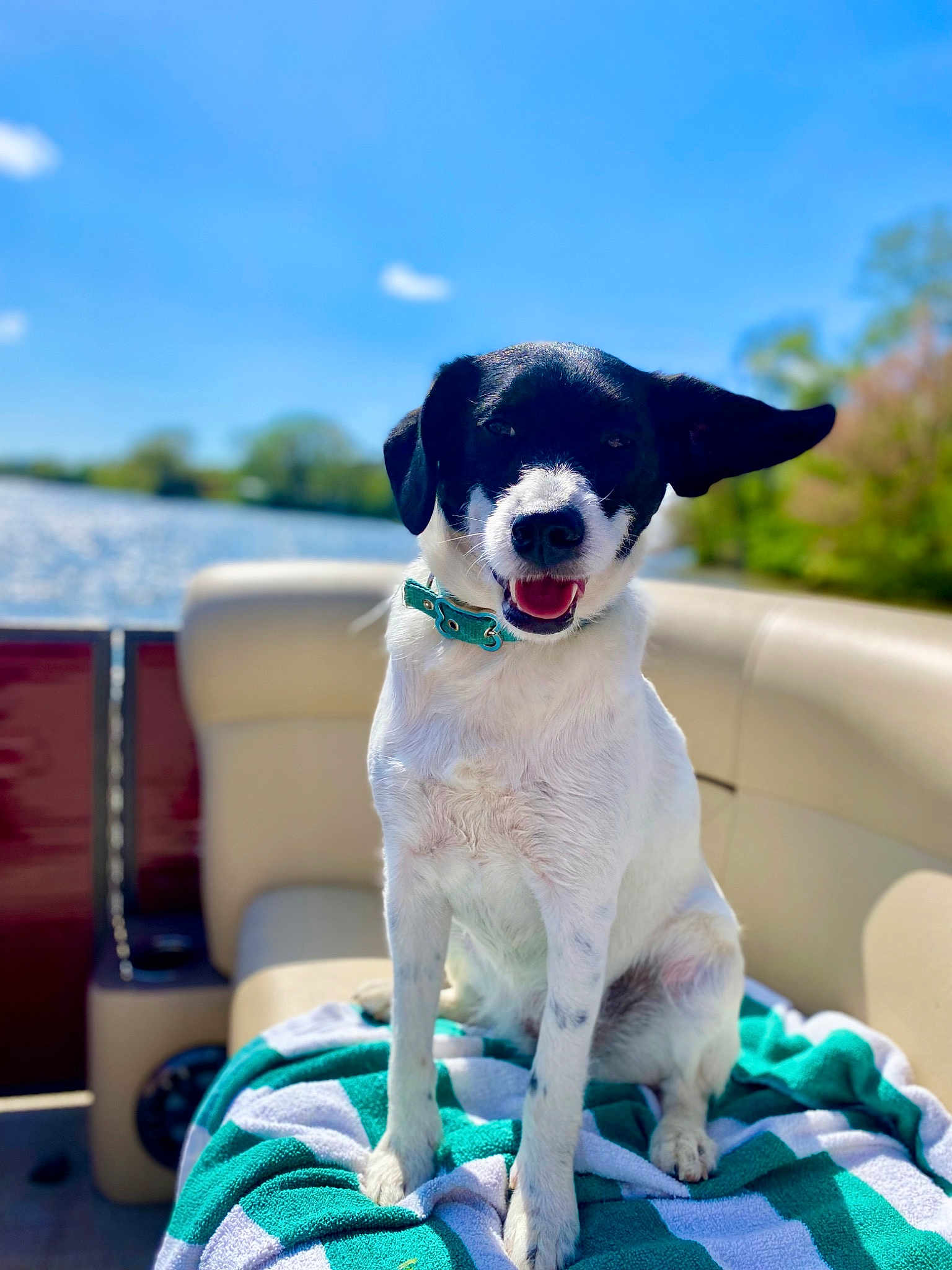 Mazie