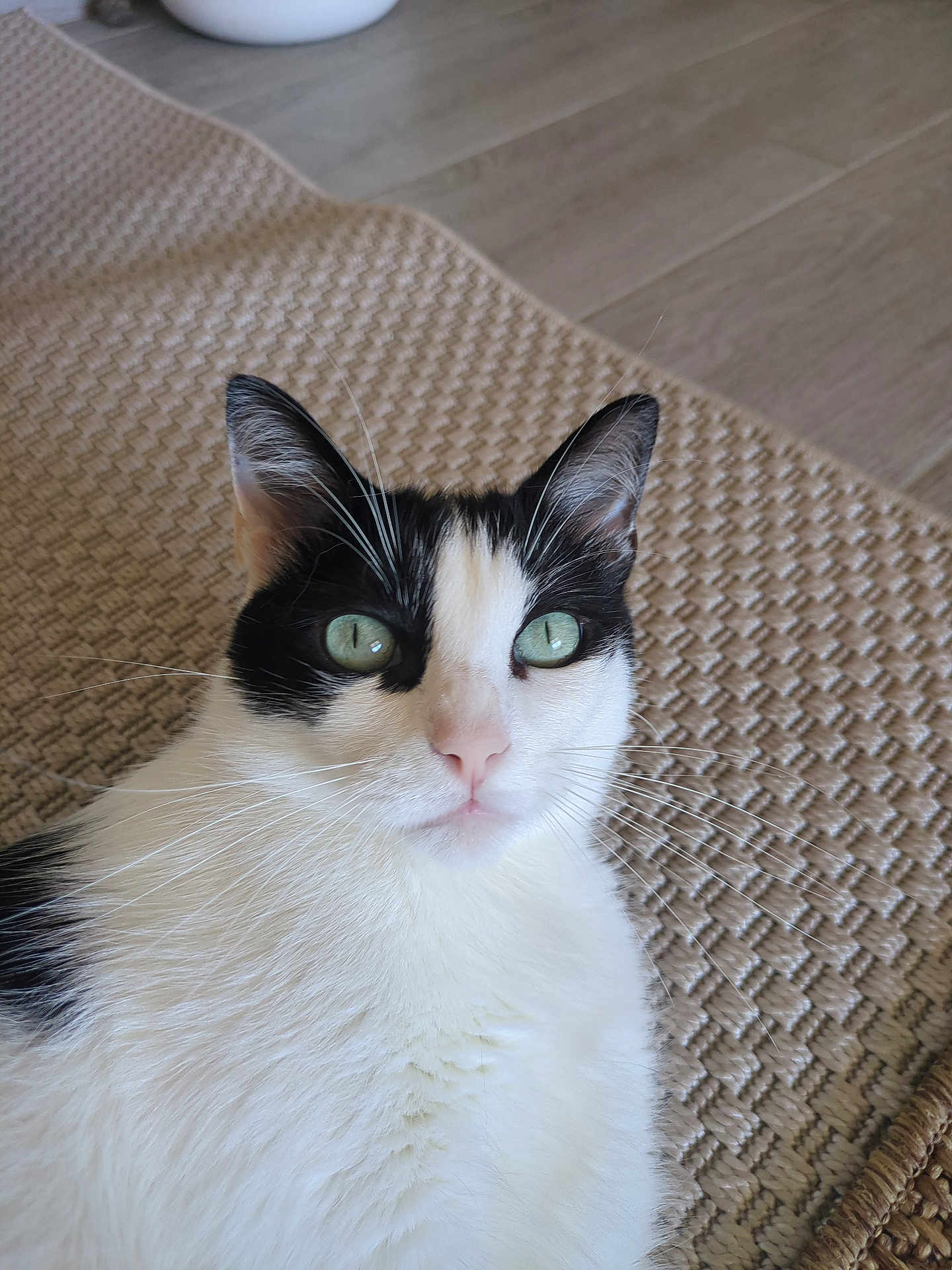 Léon