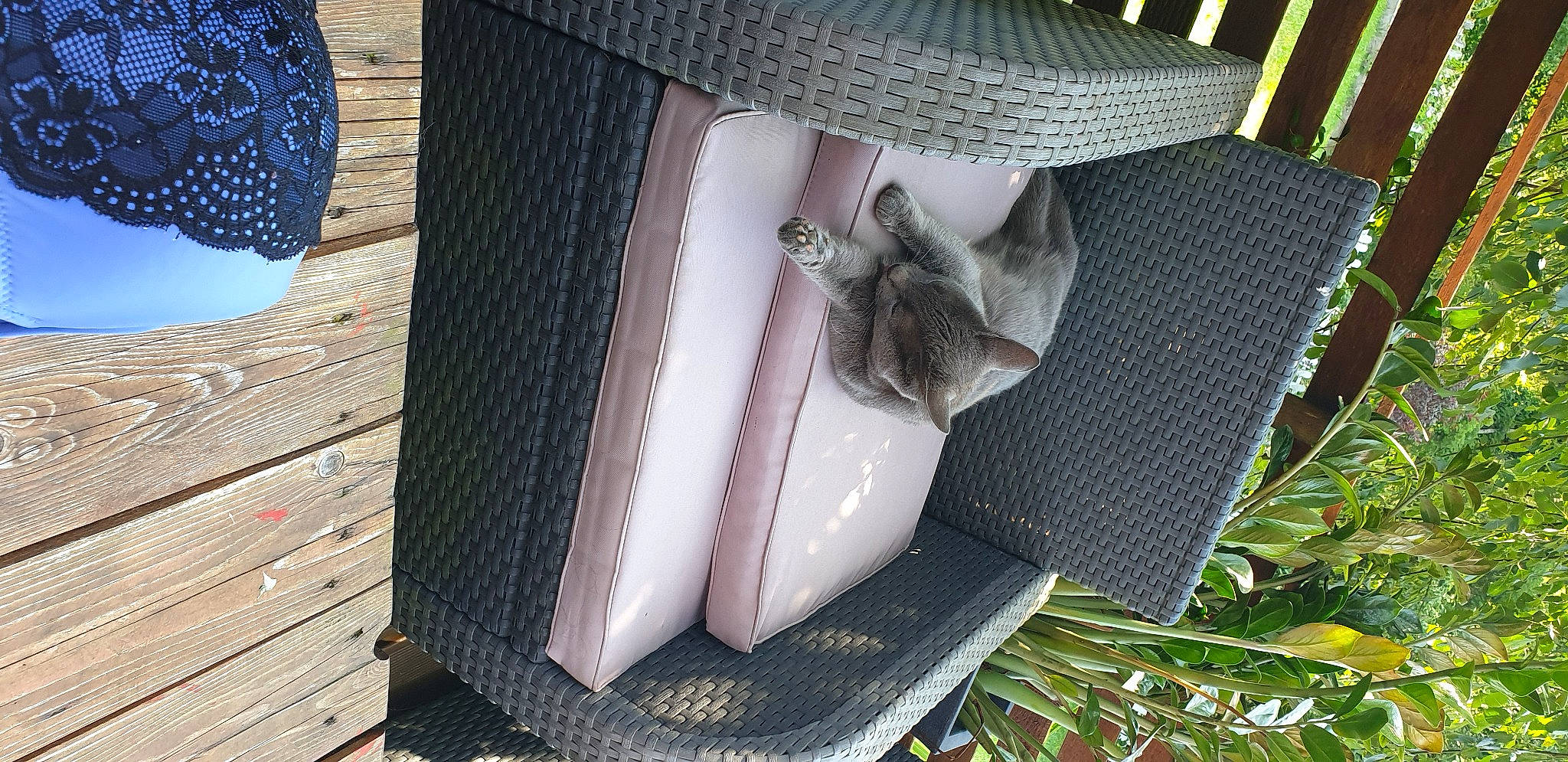 Tennessee a rejoint le concours — aidez-le/la à gagner de superbes lots ! armrest, art, comfort, fashion_accessory, grass, herb, home_accessories, linens, outdoor_furniture, pattern, plant, rectangle, room, wood