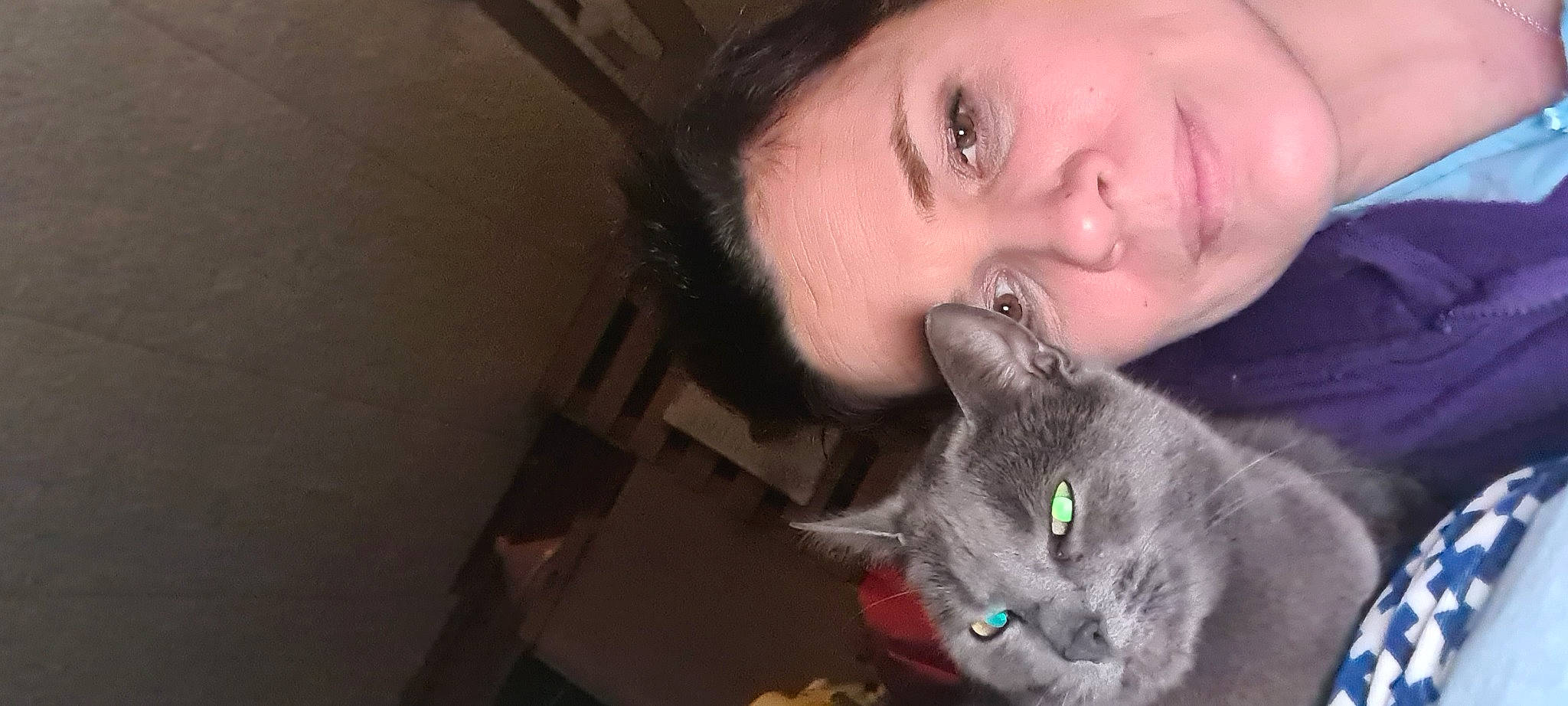 Tennessee a rejoint le concours — aidez-le/la à gagner de superbes lots ! beard, carnivore, cat, domestic_short_haired_cat, ear, eye, eyelash, felidae, gesture, happy, head, iris, jaw, lip, nose, skin, small_to_medium_sized_cats, smile, snout, whiskers