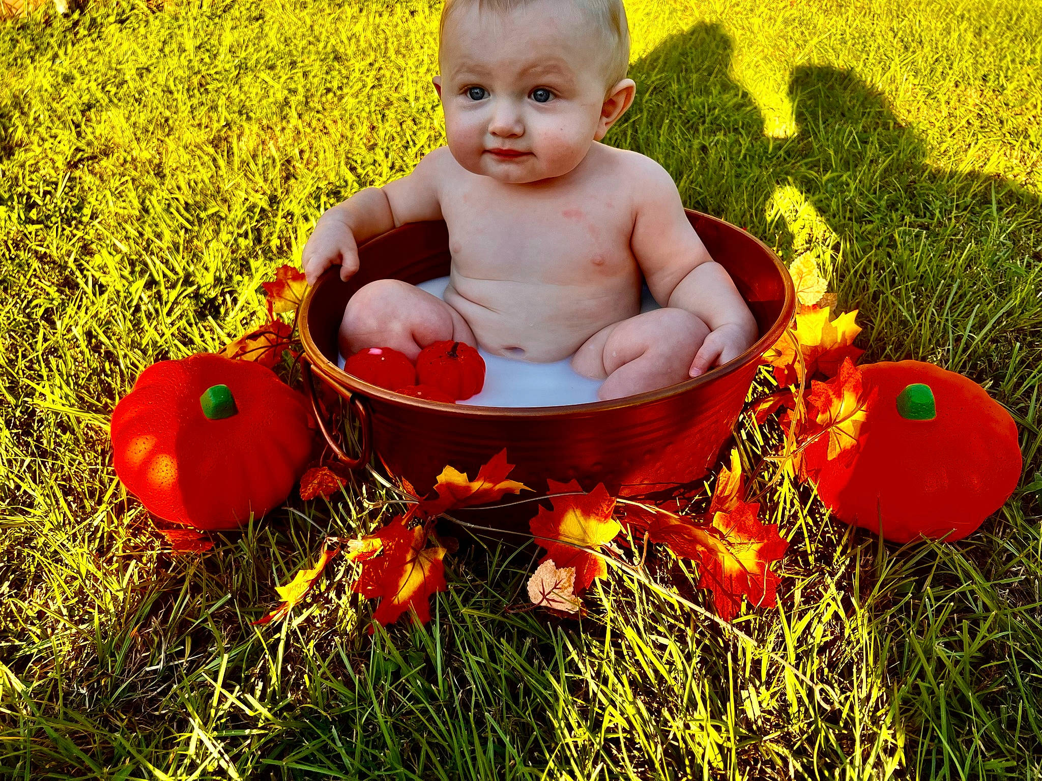 Hunter joined the competition — help win amazing prizes! baby, baby_products, baby_toddler_clothing, child, foot, fun, grass, happy, lawn, leaf, leisure, natural_foods, nature, people_in_nature, person, plant, playing_with_kids, pumpkin, recreation, sitting