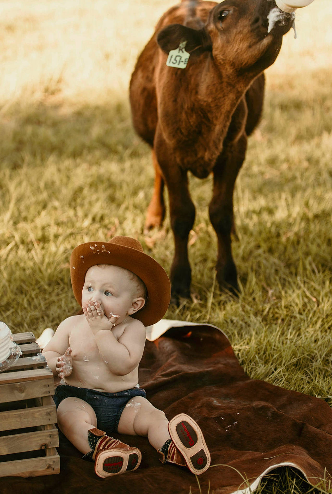 Hunter is registered to the contest to win money with this photo: adaptation, baby, bovine, dairy_cow, fawn, goat, grass, grassland, grazing, happy, hat, landscape, livestock, mammal, pasture, person, sun_hat, terrestrial_animal, toddler, vertebrate