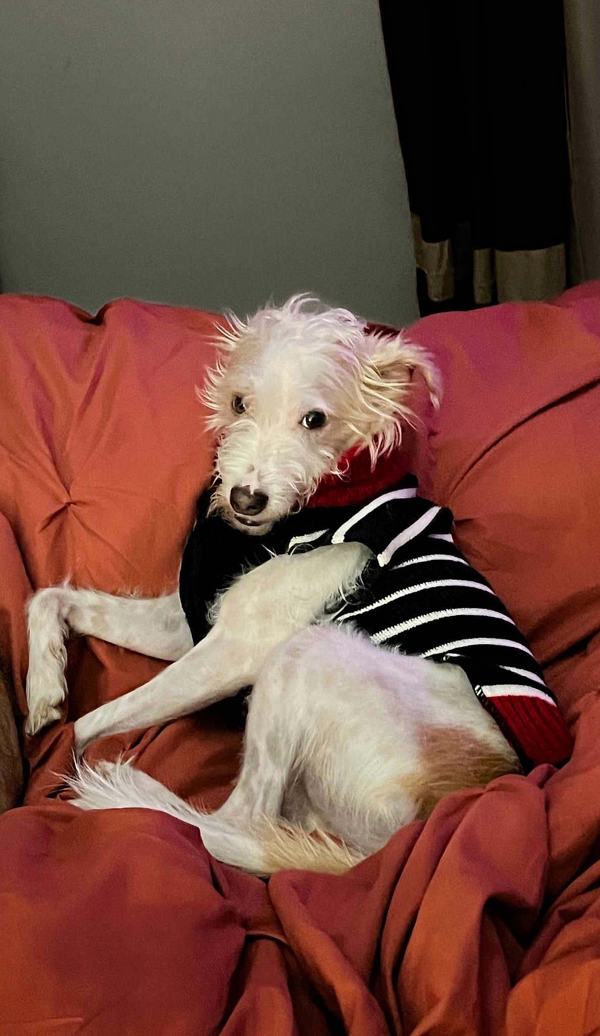 Max
