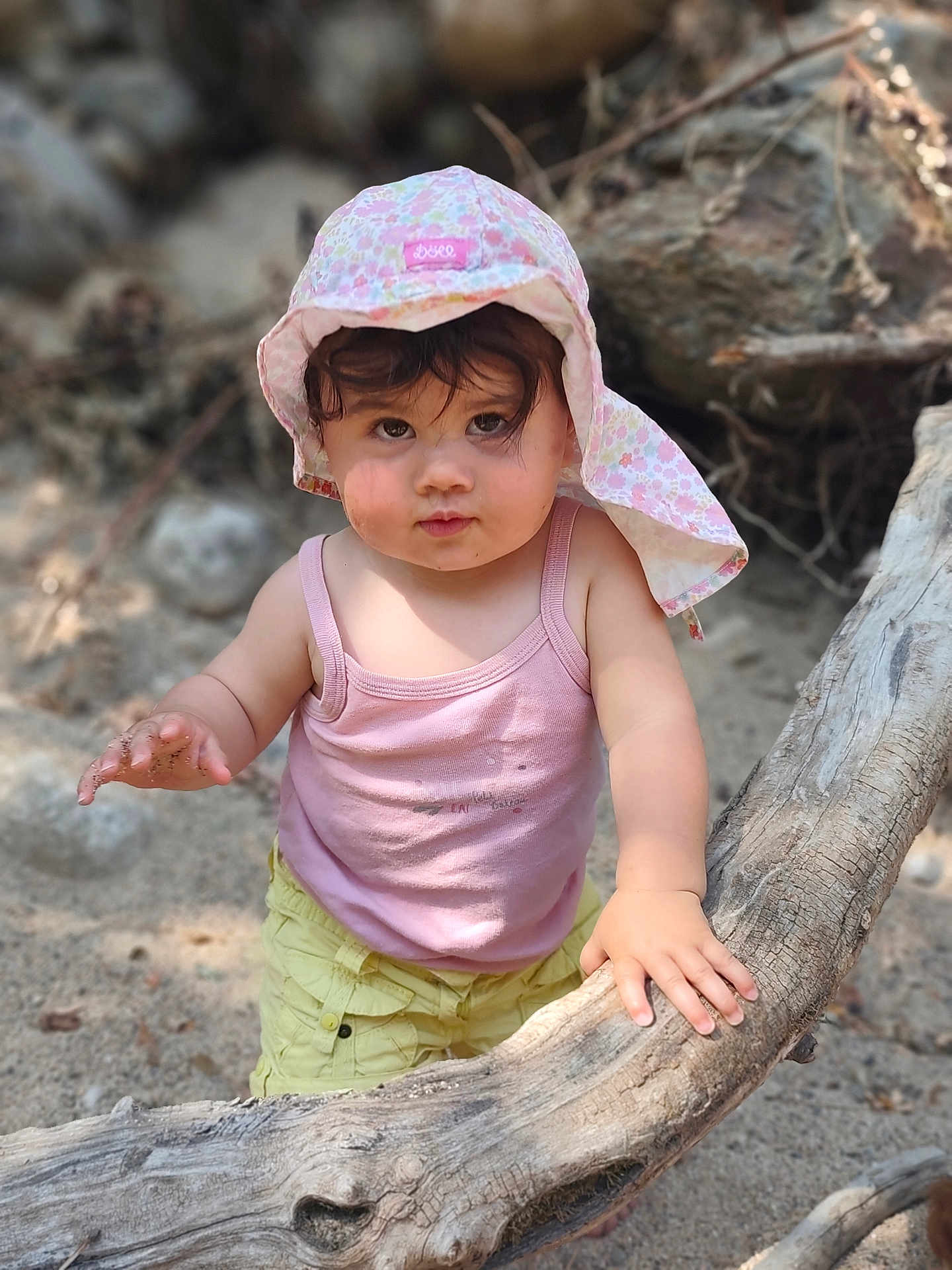 Louise participe au concours pour gagner de l'argent avec cette photo : toddler, child, hat, pink_tank_top, yellow_shorts, tree_branch, sand, outdoor, nature, exploring, sunhat, curious, hands, face, person, portrait, summer, daylight, young_child, cute