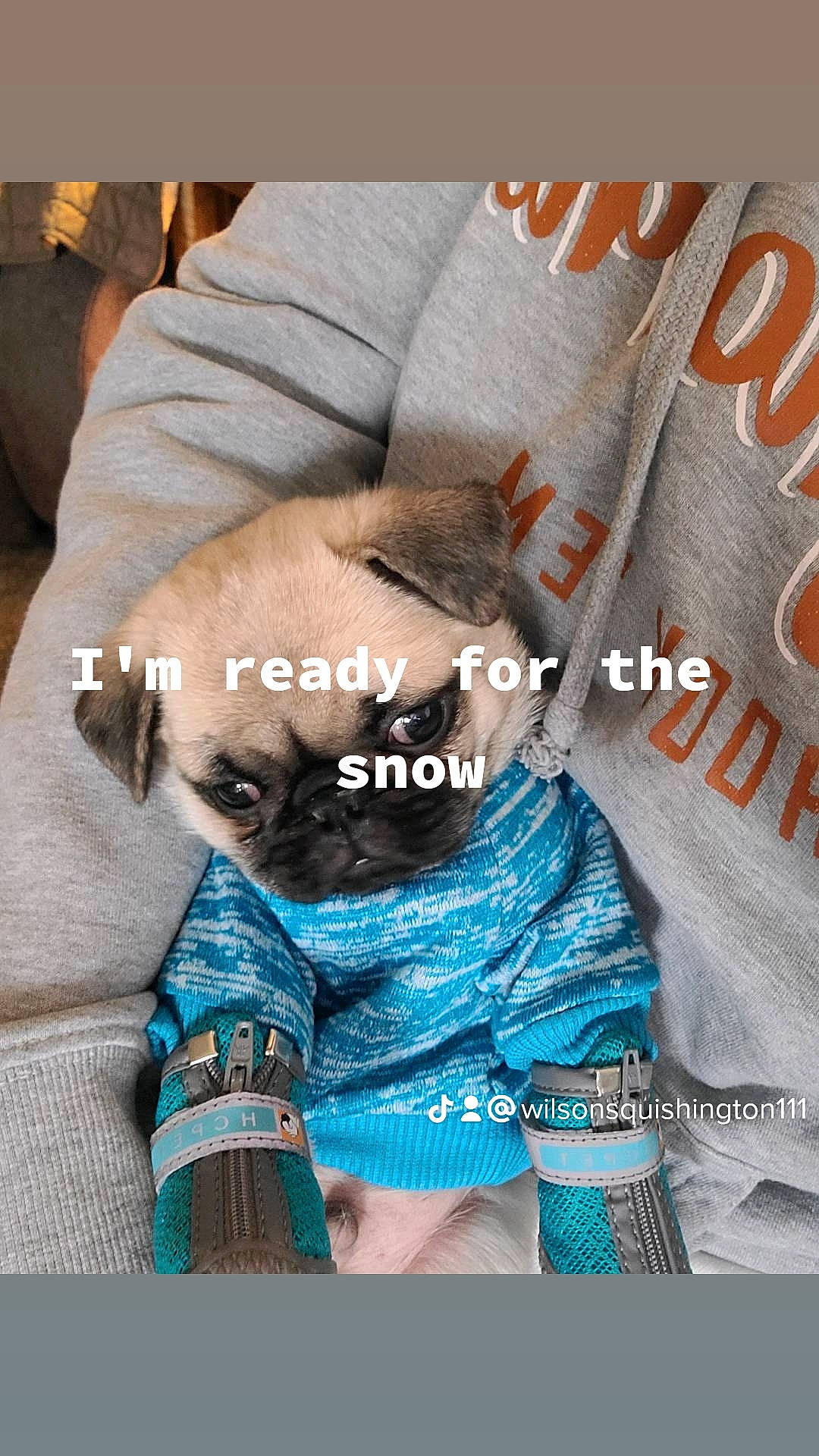 Sir Wilson Squishington joined the competition — help win amazing prizes! abdomen, child, comfort, denim, elbow, electric_blue, fashion_design, font, fur, human_leg, linens, neck, pattern, product, sleeve, sportswear, t_shirt, thigh, tie, waist