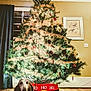 dog, basset_hound, sweater, christmas_tree, holiday_decorations, lights, ribbons, ornaments, snowflake_projection, carpet, wood_floor, curtain, window, wall_art, indoor, festive, pet, decor, celebration, home