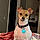 Dixie