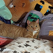 Milo is registered to the contest to win money with this photo: cat, orange_tabby, bed, blanket, pillow, plush_toy, minecraft_pillow, indoor, pet, feline, fur, resting, looking, cozy, striped, comfort, animal, cute, domestic_cat, relaxed