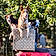 Our Dogs