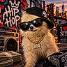 dog, puppy, fluffy, sunglasses, baseball_cap, chain_necklace, dog_tag, boombox, cash, money, graffiti, brooklyn_bridge, new_york, cityscape, skyline, urban, sunset, streetwear, portrait, fashion