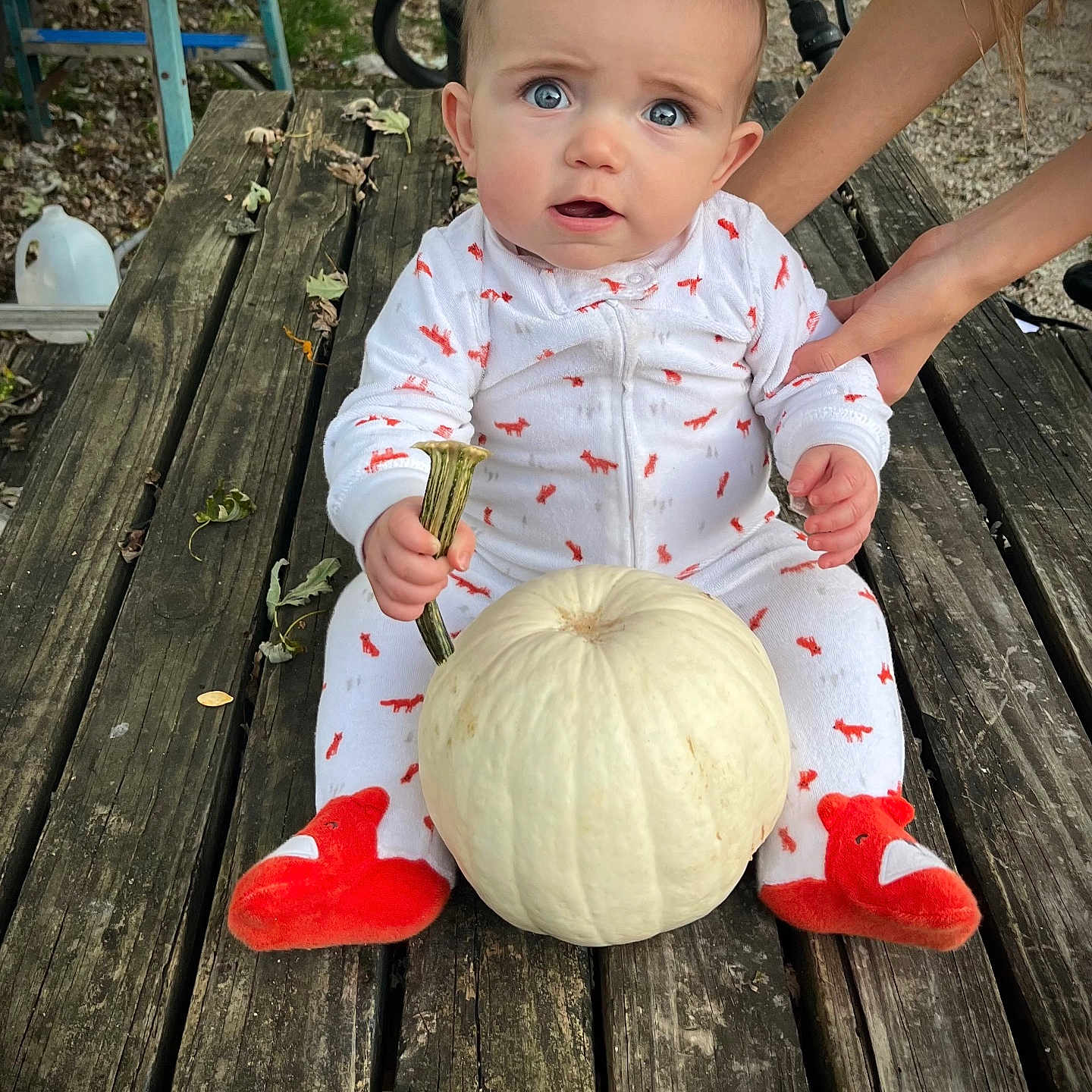 Damian is registered to the contest to win money with this photo: autumn, baby, child, curious_expression, cute, face, fall, footwear, hands, holding_object, nature, onesie, orange_slippers, outdoor, person, pumpkin, rustic, sitting, white_pumpkin, wooden_table