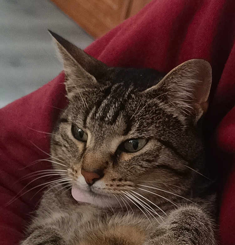 Lilly