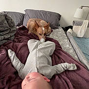 Jagger joined the competition — help win amazing prizes! baby, infant, dog, canine, bed, blanket, pillow, onesie, sleeping, pet, bedroom, lamp, playpen, mattress, cozy, soft_texture, household, domestic_scene, curious, resting