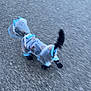 dog, raincoat, rainboots, walking, pavement, outdoor, pet, canine, blur, motion, rainy_day, colorful, small_dog, tail, fur, animal, leash, weather, cute, apparel