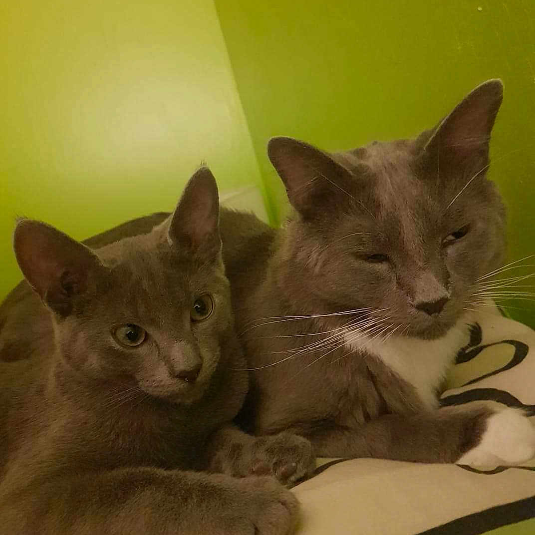 Rusky Et Bianco