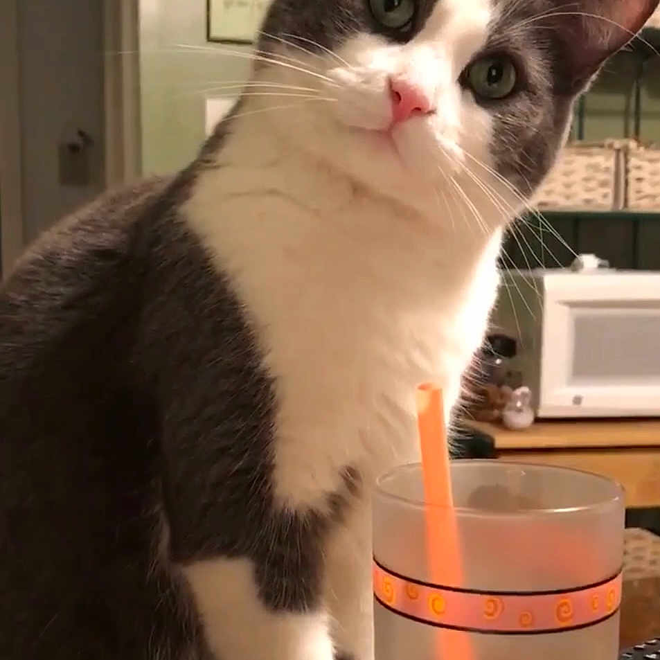 Dexter