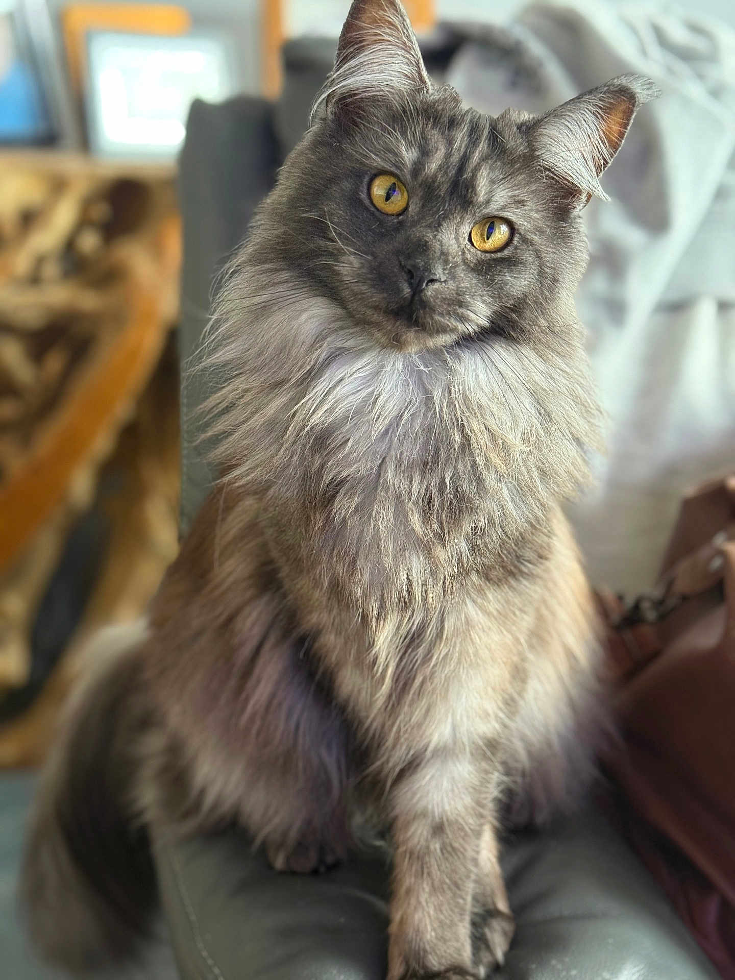 Smokie