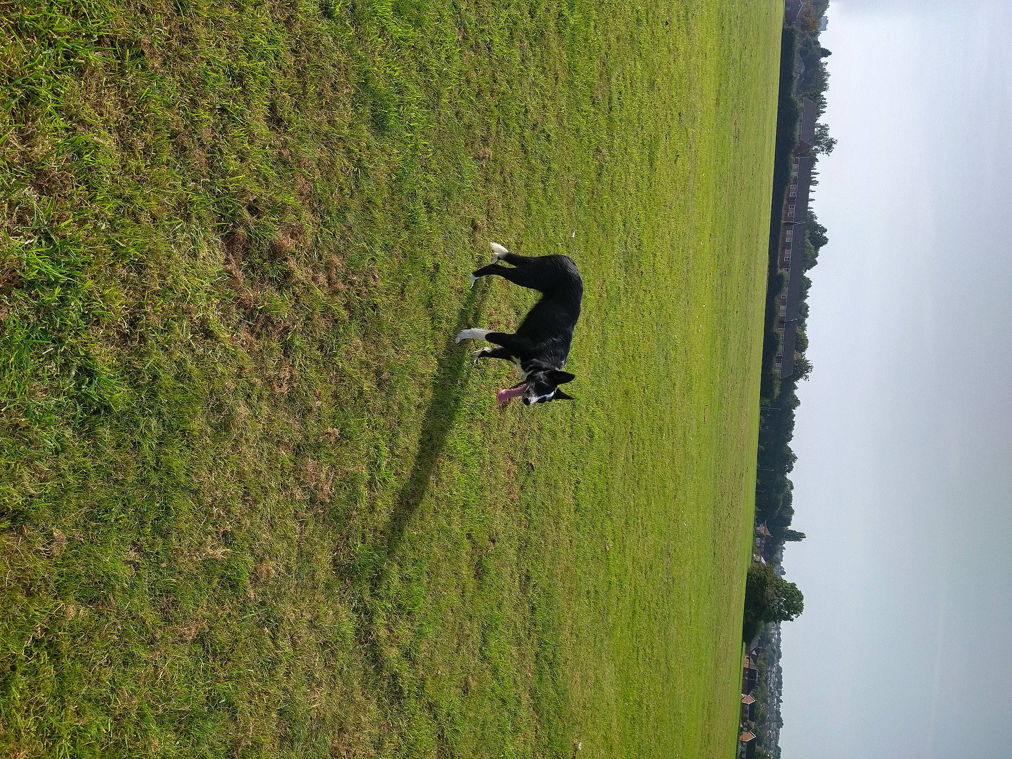 Suzi is registered to the contest to win money with this photo: adventure, extreme_sport, field, grass, grass_family, grassland, hill, landscape, lawn, meadow, pasture, people_in_nature, plant, prairie, recreation, sky, slope, tree, trunk, wood