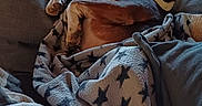 Balou a rejoint le concours — aidez-le/la à gagner de superbes lots ! dog, blanket, couch, indoor, relaxed, resting, window, furniture, pet, cozy, brown, white, star_pattern, animal, comfort, paw, snug, domestic, calm, side_view