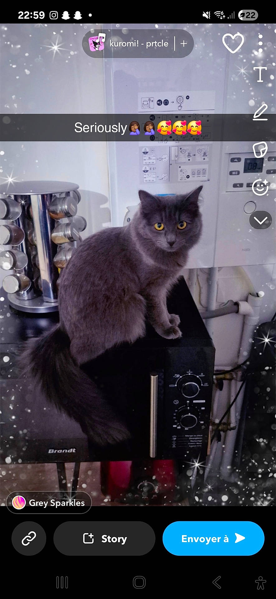 Arya participe au concours pour gagner de l'argent avec cette photo : appliance, cat, countertop, curious, cute, domestic_animal, feline, furry, gray_cat, household, indoor, kitchen, microwave, pet, pipe, sitting, snapchat, sparkle_filter, text_overlay, yellow_eyes