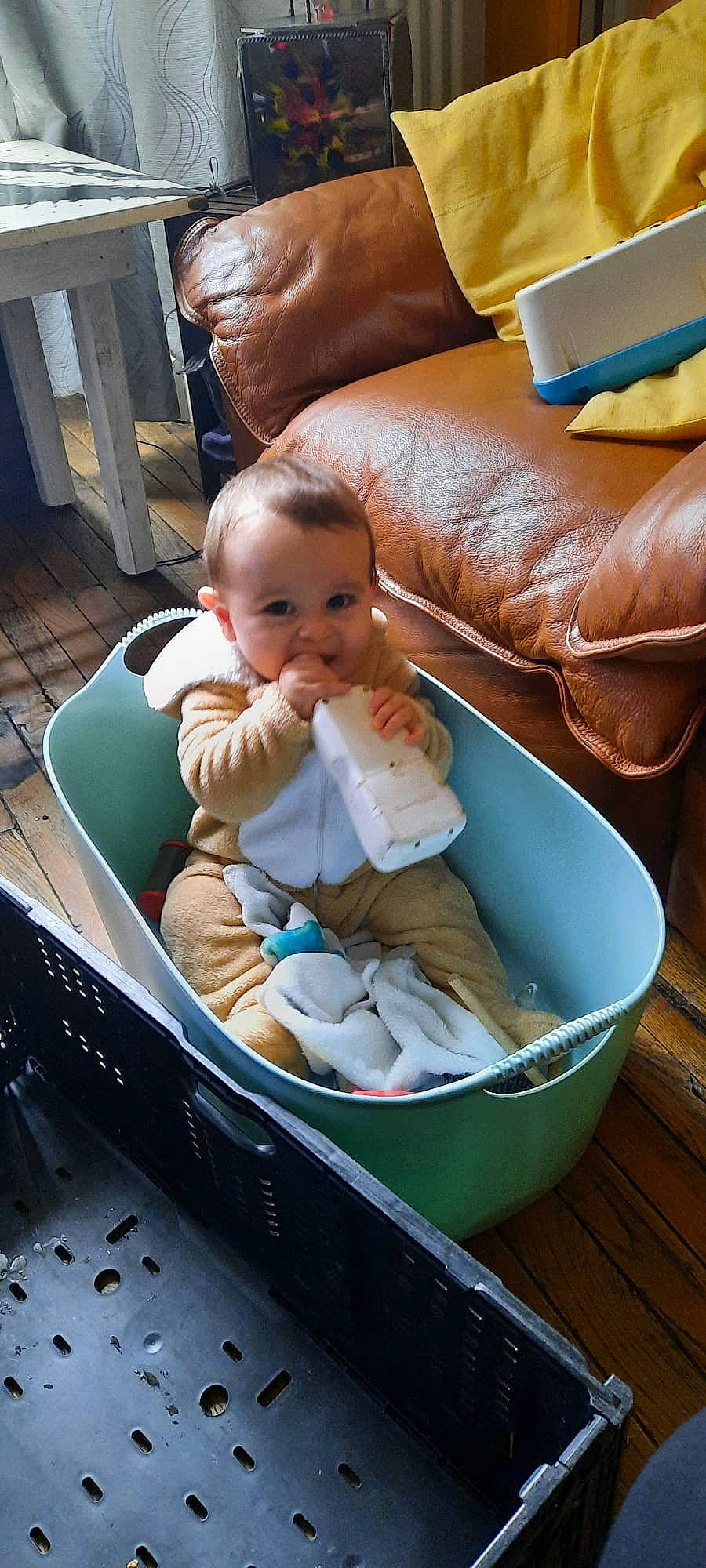 Evan a rejoint le concours — aidez-le/la à gagner de superbes lots ! baby, baby_carriage, baby_products, baby_safety, baby_toddler_clothing, chair, child, comfort, couch, fun, lap, person, pillow, sitting, toddler, vacation