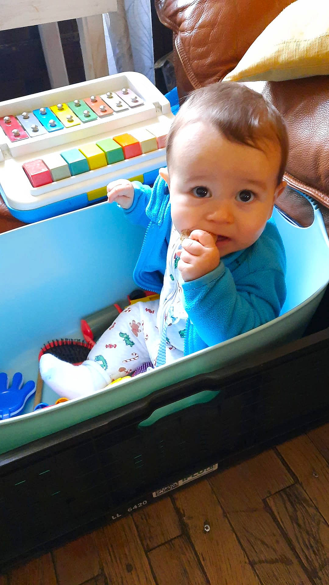 Evan participe au concours pour gagner de l'argent avec cette photo : baby, baby_carriage, baby_products, baby_safety, baby_toddler_clothing, baby_toys, cheek, child, comfort, fun, head, leisure, person, play, product, rectangle, room, shelf, sitting, toddler