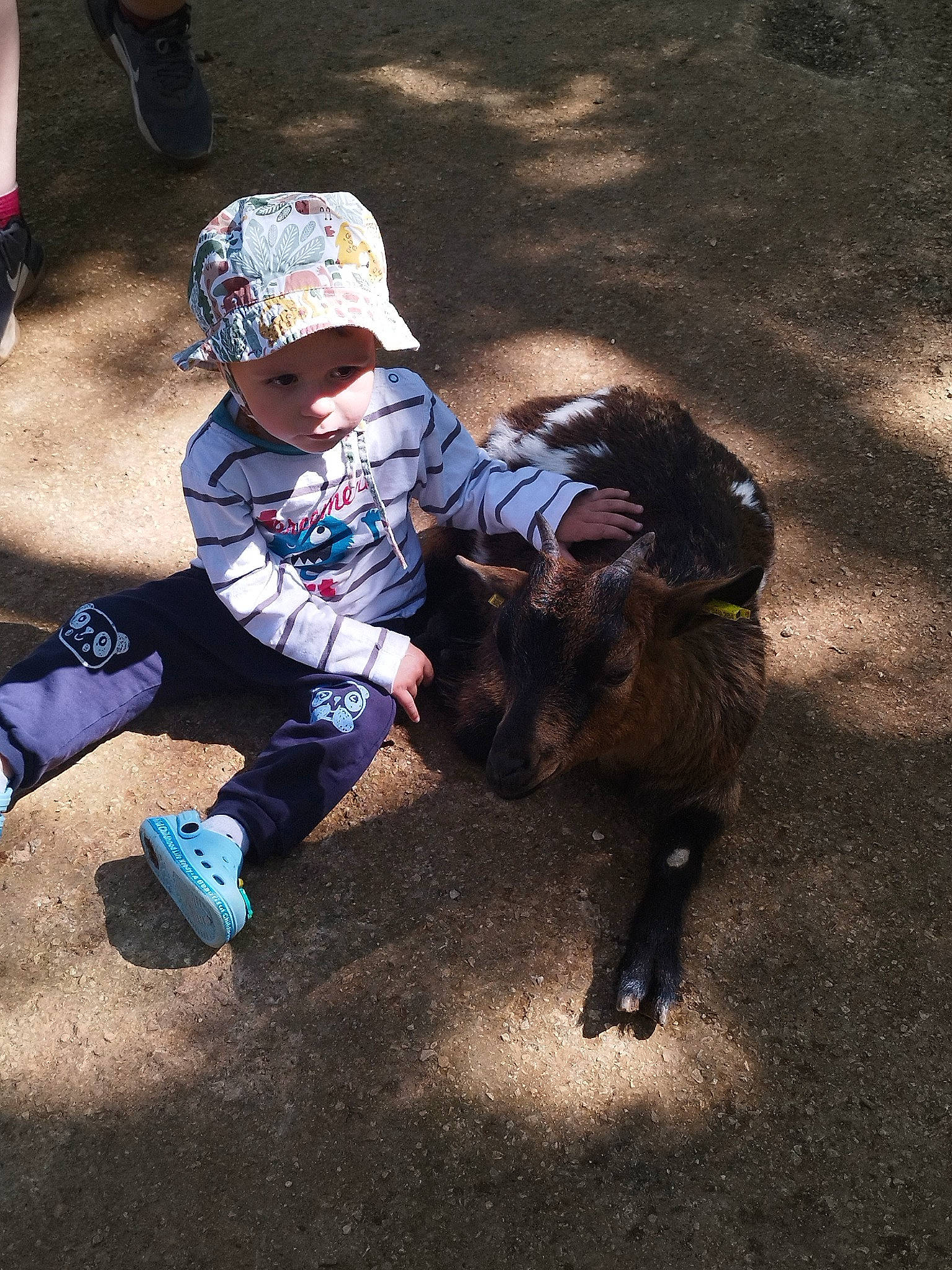 Evan participe au concours pour gagner de l'argent avec cette photo : asphalt, baby, baseball_cap, flash_photography, fun, grass, happy, hat, headgear, headwear, leisure, person, recreation, shadow, shoe, sitting, sneakers, soil, sun_hat, tints_and_shades