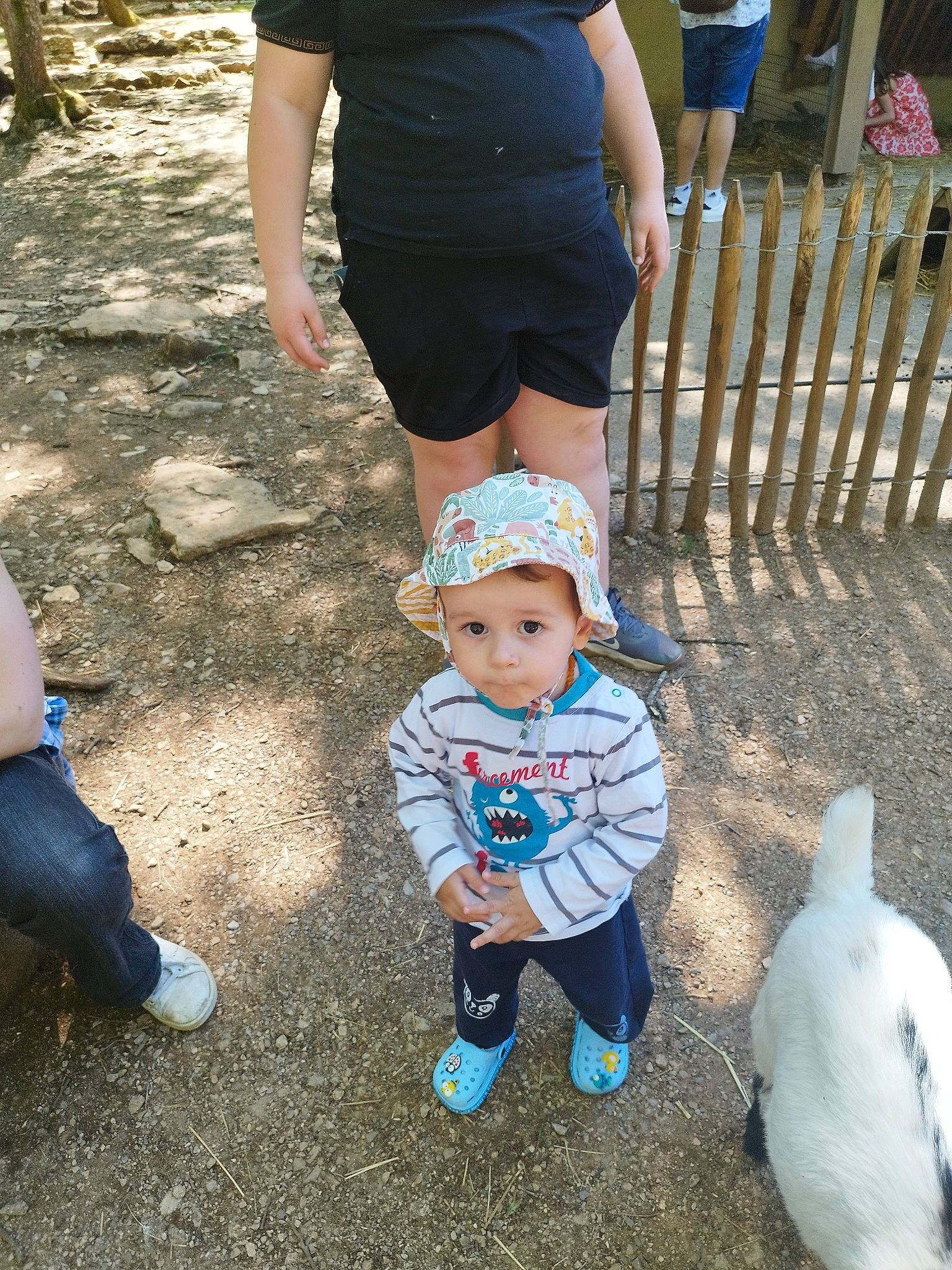 Evan participe au concours pour gagner de l'argent avec cette photo : baby, blue, child, event, fun, grass, happy, hat, headwear, human_leg, leg, leisure, people_in_nature, person, recreation, shoe, shorts, sneakers, soil, toddler