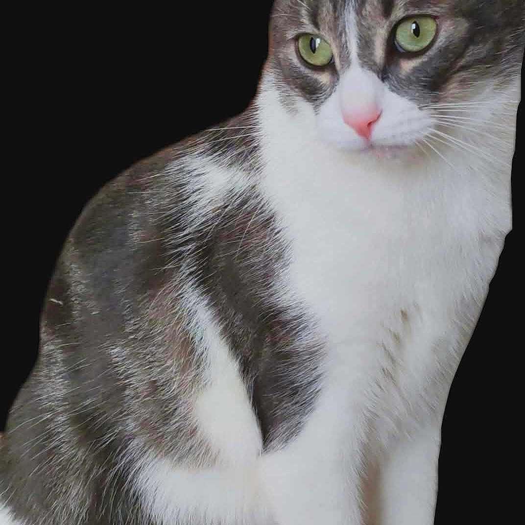 Uro