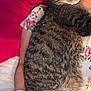 cat, tabby_cat, person, hand, floral_shirt, watch, bed, pillow, red_pillow, snuggling, relaxed, indoor, close_up, sleeping_cat, pet, cozy, resting, fur, nail_polish, human_arm
