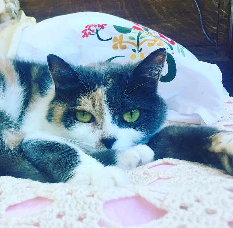 Freyja