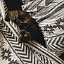 cat, tortoiseshell, bed, bedding, pillow, blanket, pattern, geometric_pattern, black_and_white, indoor, pet, feline, resting, curled_up, cozy, sleepy, whiskers, fur, eyes, cute