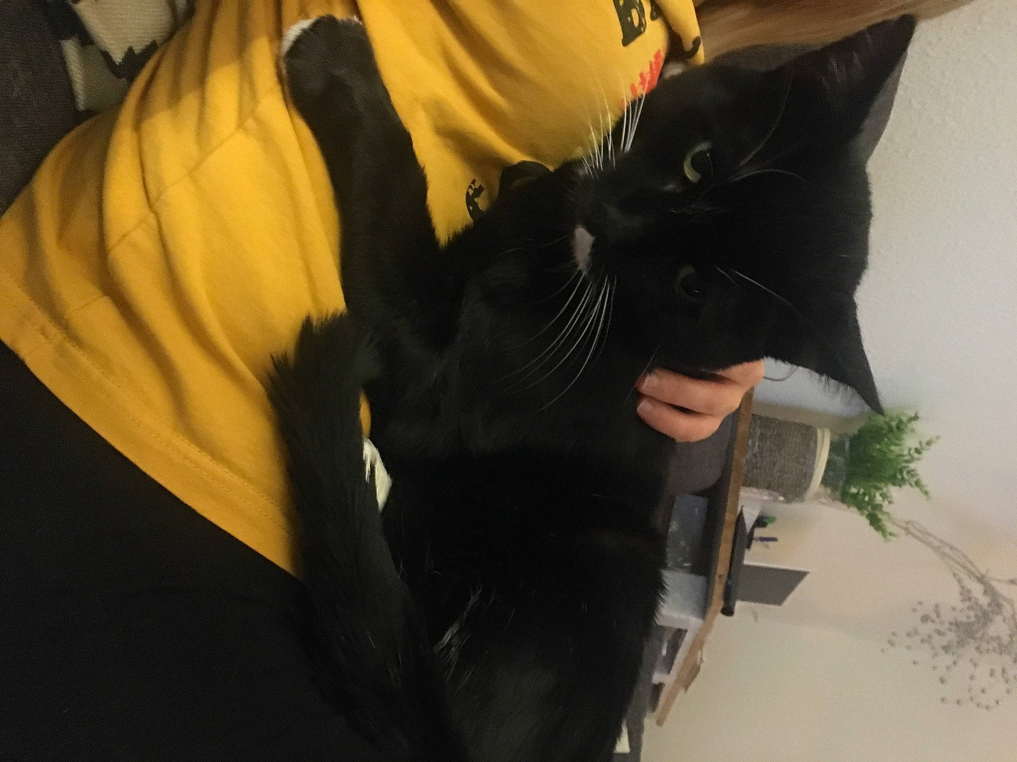 Moon a rejoint le concours — aidez-le/la à gagner de superbes lots ! black, black_hair, costume, fur, jacket, outerwear, t_shirt, yellow