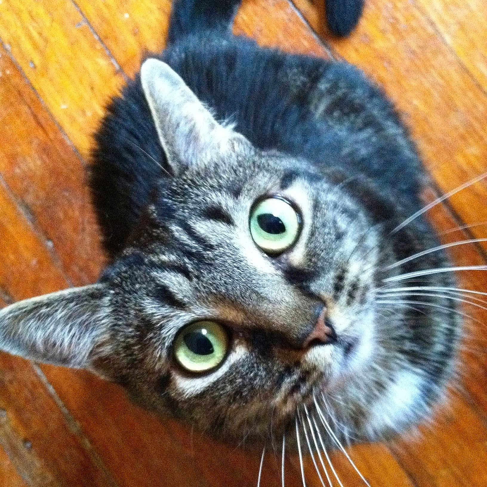 Baby is registered to the contest to win money with this photo: